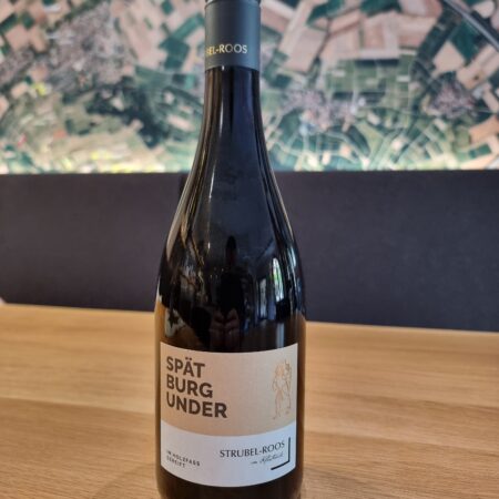 BIO Spätburgunder Rotwein trocken